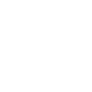 Braaaiinz