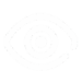 IconVision IconVision